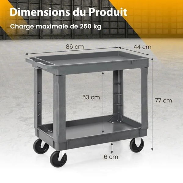 Chariot de Service à 2 Niveaux en Pp Capacité 250 Kg Chariot de Travail Étagère Centrale Réglable Poignée de Rangement Chariot à Outils Roulant Gris
