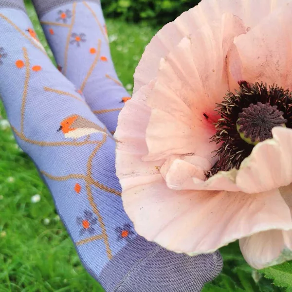 Chaussettes en coton bio "Birdy" lilas - pointures 19 à 42 - Fräulein Prusselise