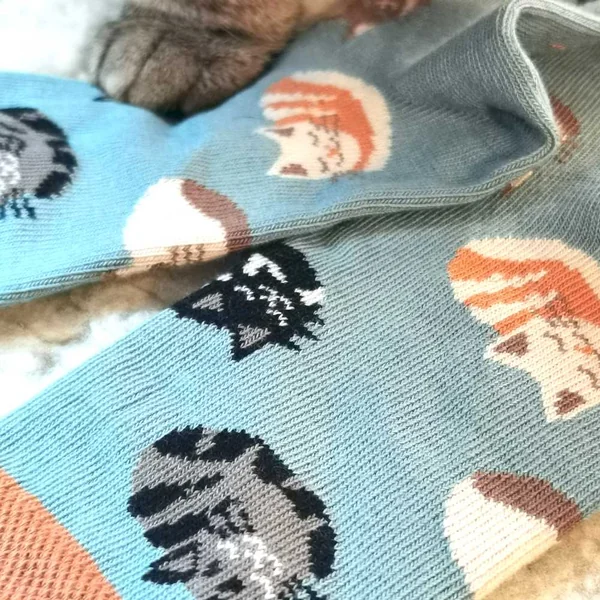 Chaussettes motif Chats en coton bio - pointures 19 à 34 - Fräulein Prusselise