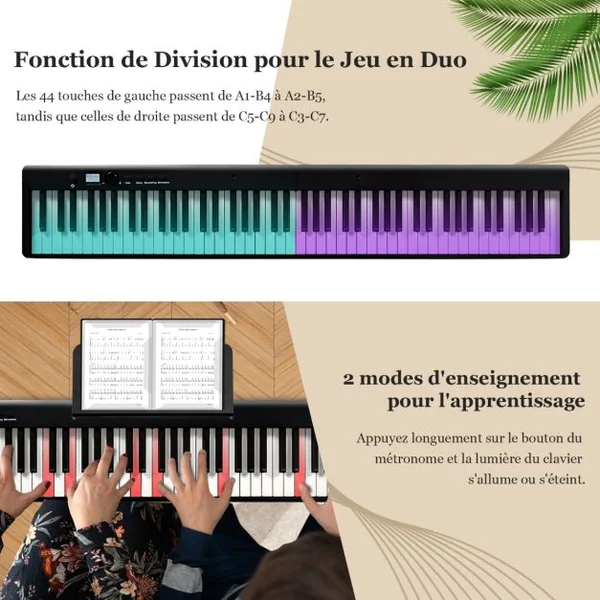Clavier de Piano Numérique Pliable avec 88 Touches Lourdes LED Pleine Grandeur Fonction 2 Clavier MP3/USB/MIDI Noir/Blanc