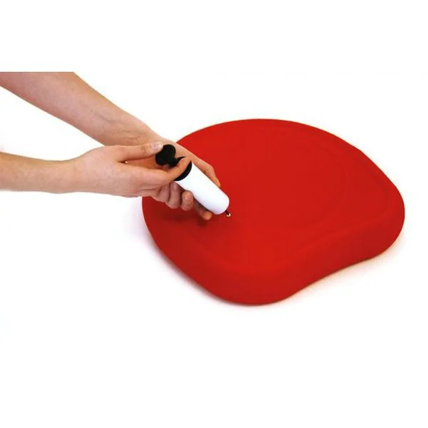 Coussin ballon SITFIT Plus