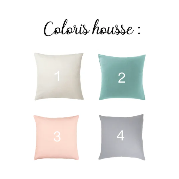 Coussin personnalisé Texte seul (4 coloris)