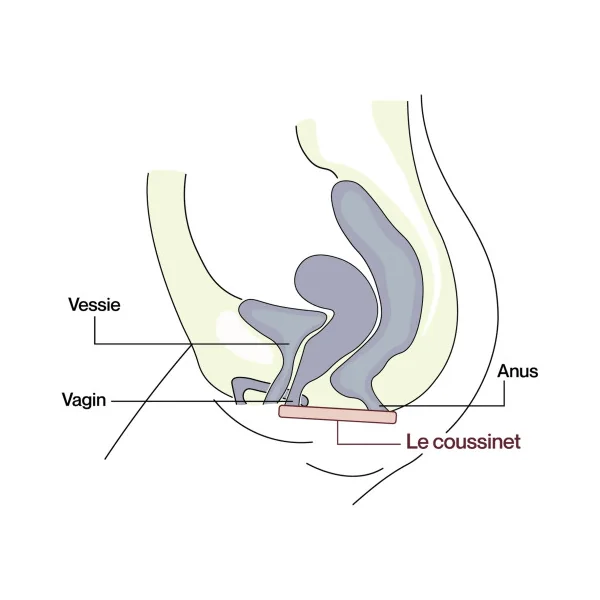 Culotte de soutien réduisant les fuites urinaires