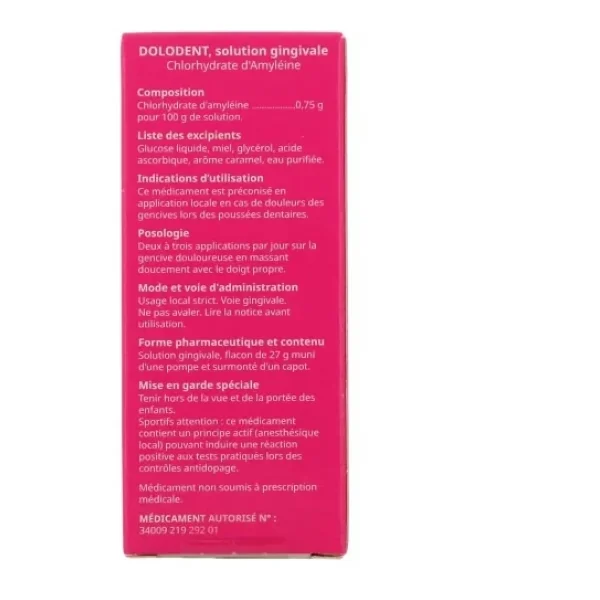 Dolodent Solution Gingivale 27 g