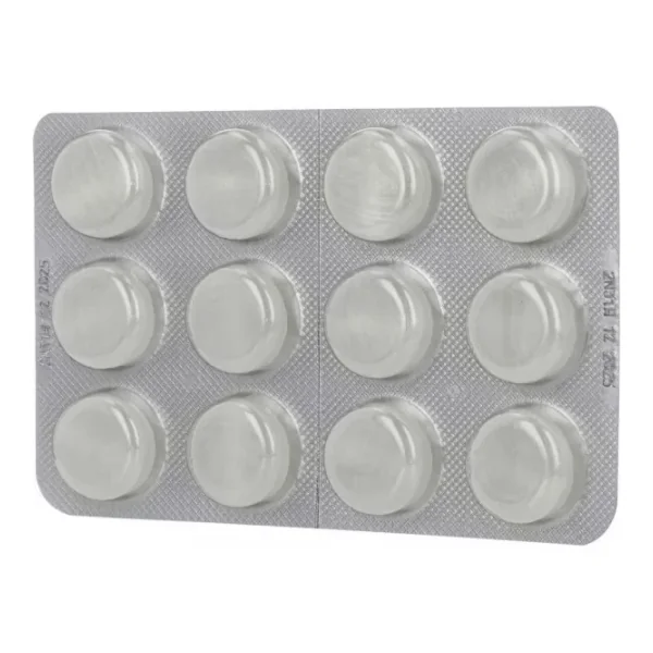 Drill Pastilles Sans Sucre Anis Menthe x 24