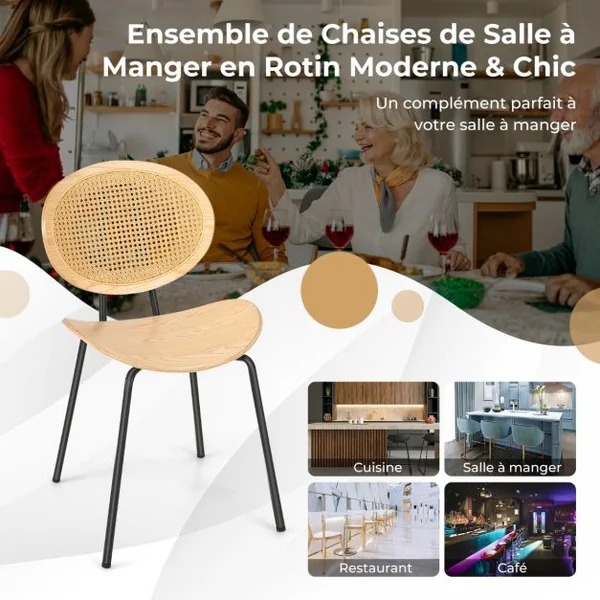 Ensemble de 2 Chaises de Salle à Manger en Rotin Chaises d'Appoint Sans Accoudoirs avec Pieds en Métal Dossier en Cannage Respirant en Maille Naturel