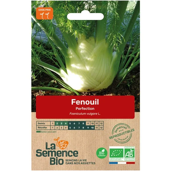 Fenouil Perfection semence 0,7g