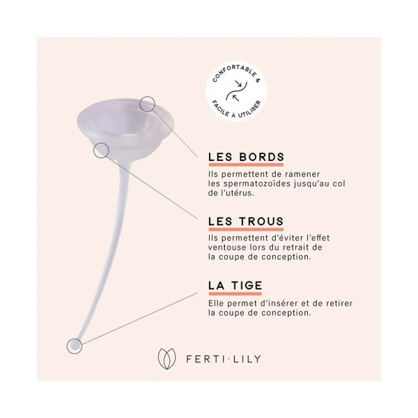 FERTI-LILY Coupe de conception