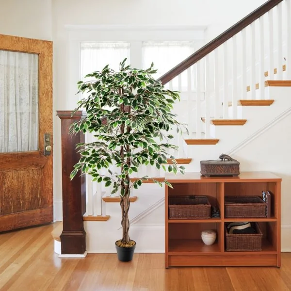 Ficus Artificiel de 160 Cm Grande Plante D'Intérieur avec 1008 Feuilles Tronc en Bois Naturel Pot Rempli de Ciment Mousse Séchée Faux Arbre Décoratif Vert