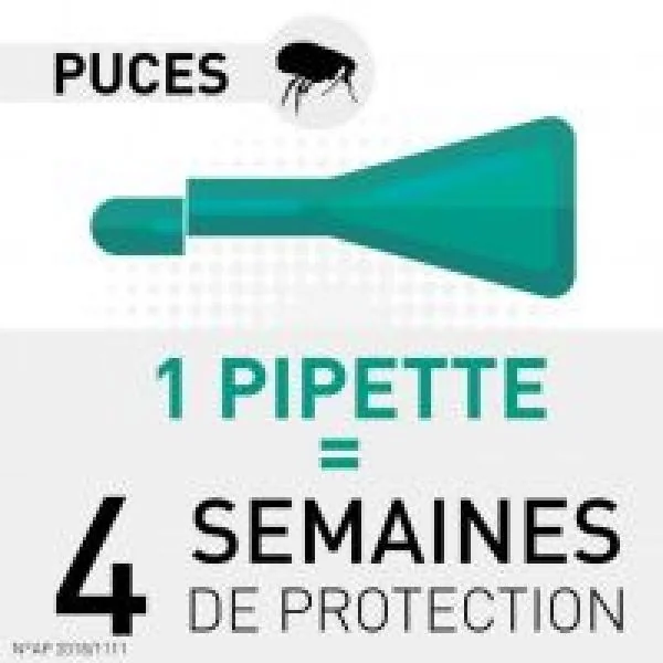 FRONTLINE SPOT ON Chat 4 Pipettes de 0.5ml - Anti Parasitaires (Puces, Tiques, Poux)