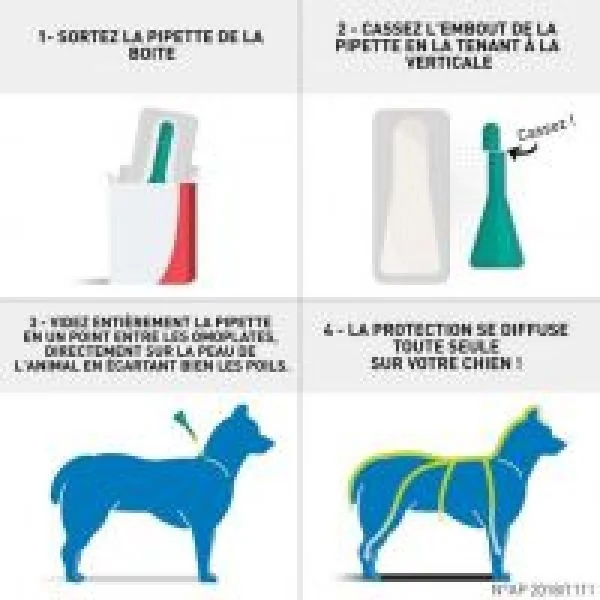 FRONTLINE SPOT ON Chien L (20 à 40kg) 4 Pipettes de 2.68ml - Anti Parasitaires (Puces, Tiques, Poux)