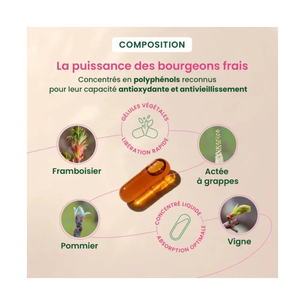 Gemmocaps Périménopause