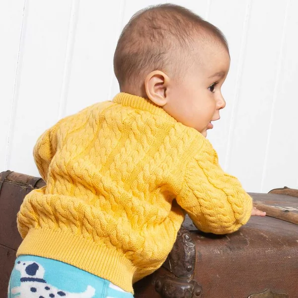 Gilet en tricot de coton bio avec torsades - Kite clothing - Fin de série