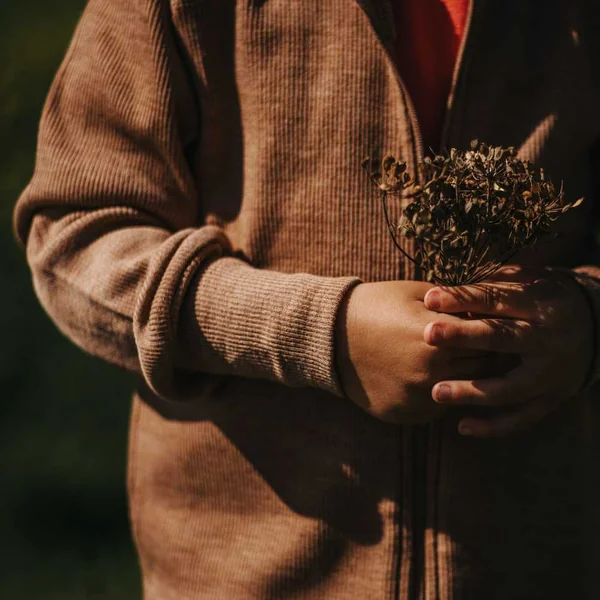 Gilet à zip et capuche en laine mérinos enfant - ManyMonths