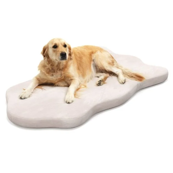 Grand Lit pour Chien en Mousse à Mémoire avec Housse Amovible et Fond Antidérapant Coussin Orthopédique pour Chien Beige