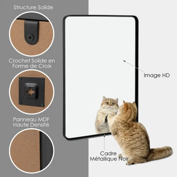 Grand Miroir de Salle de Bain avec Cadre en Métal Noir avec Cadre en Métal Noir Mat Horizontal ou Vertical Suspendu