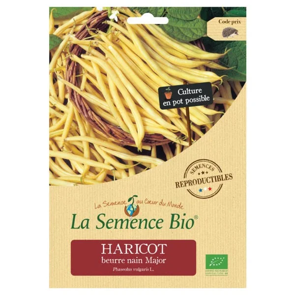Haricot beurre nain Major semence 70g