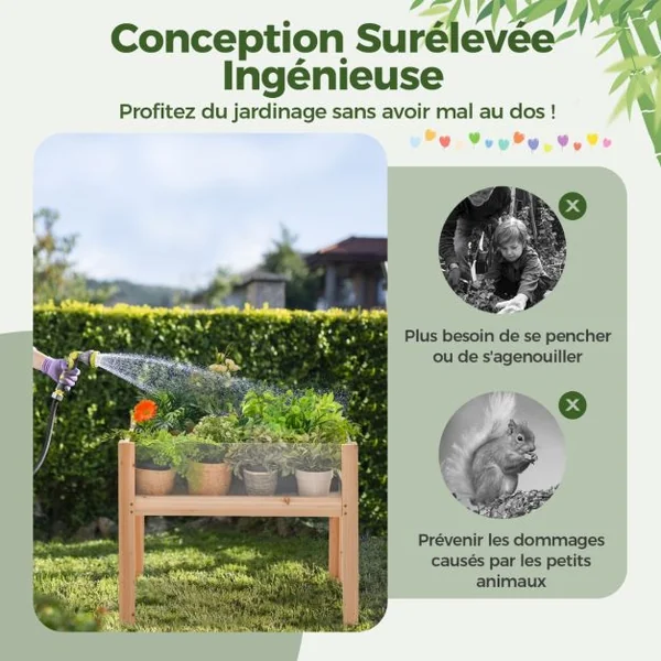 Jardinière Surélevée en Bois Trous de Drainage Panneaux Acryliques Transparent Légumes Herbes Fleurs Capacité de 130 L Naturel