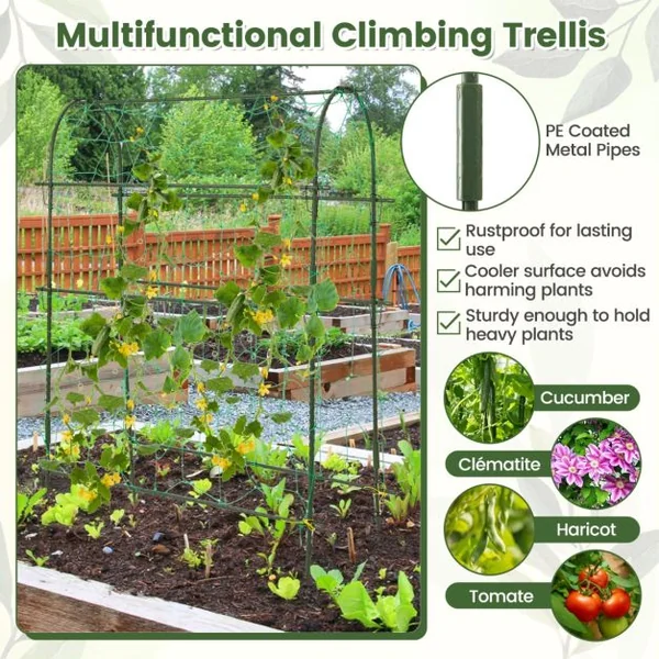 Jardinière Surélevée à Arrosage Automatique avec Treillis Lit de Jardin avec Indicateur de Niveau d'Eau Trou De Drainage pour Fleurs Légumes Noir