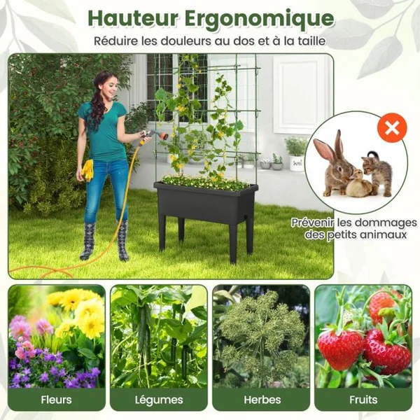 Jardinière Surélevée à Arrosage Automatique avec Treillis Lit de Jardin avec Indicateur de Niveau d'Eau Trou De Drainage pour Fleurs Légumes Noir
