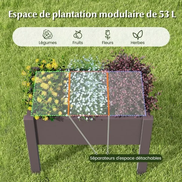 Lit de Jardin Surélevé Jardinière à Arrosage Automatique Indicateur de Niveau d'Eau Trou de Drainage Séparateurs Amovibles Café