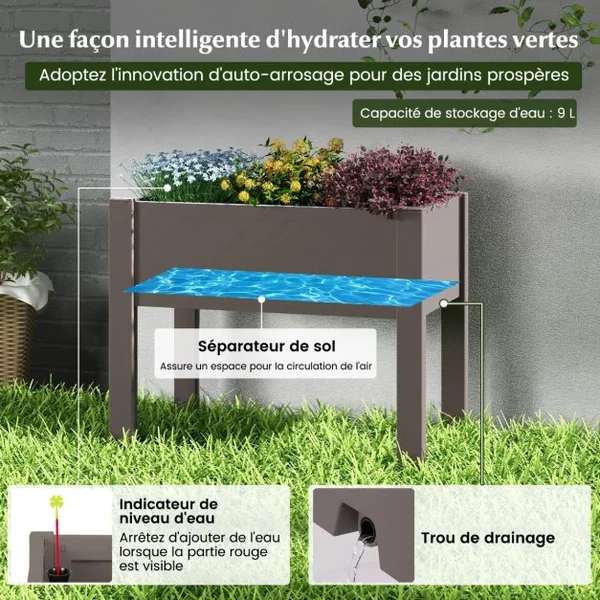 Lit de Jardin Surélevé Jardinière à Arrosage Automatique Indicateur de Niveau d'Eau Trou de Drainage Séparateurs Amovibles Café