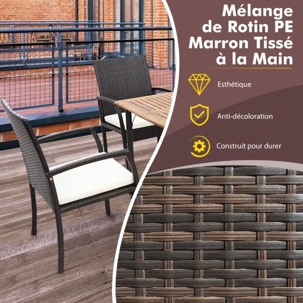 Lot de 2 Chaises de Terrasse en Osier Chaises d'Extérieur en Rotin PE avec Coussin doux à Fermeture Éclair Fauteuils en Rotin pour Jardin