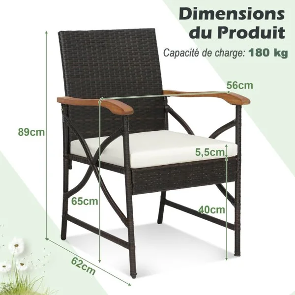 Lot de 2 Chaises de Terrasse en Osier Fauteuilss d'Extérieur en Rotin PE avec Coussin Doux Cadre en Métal et Osier Résistant aux Intempéries