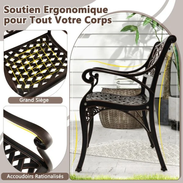 Lot de 2 Chaises en Fonte d'Aluminium Chaises de Salle à Manger d'Extérieur Toutes Saisons Accoudoirs et Sièges Incurvés Bronze