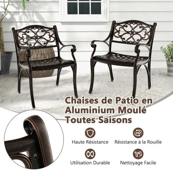 Lot de 2 Chaises en Fonte d'Aluminium Chaises de Salle à Manger d'Extérieur Toutes Saisons Accoudoirs et Sièges Incurvés Bronze