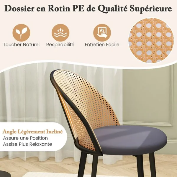 Lot de 2 Chaises Sans Accoudoirs avec Dossier Ajouré en Rotin Siège Rembourré Pieds Fuselés en Métal pour Restaurant Salon Gris