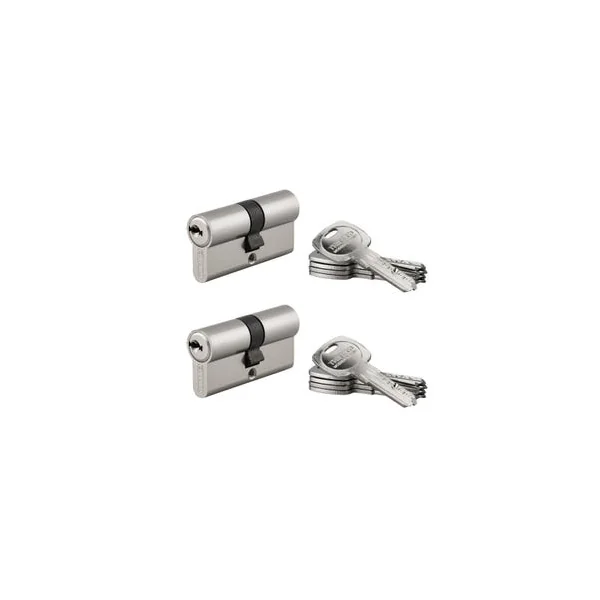 Lot de 2 cylindres Traffic 6