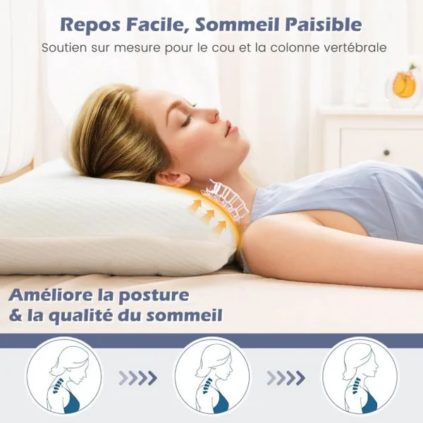 Lot de 2 Oreillers en Mousse à Mémoire de Forme avec Charbon Oreillers Rafraîchissants Découpe 3D Taie d'Oreiller Amovible