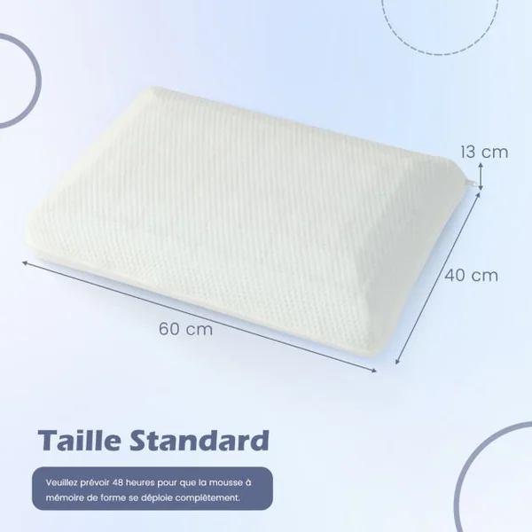 Lot de 2 Oreillers en Mousse à Mémoire de Forme avec Charbon Oreillers Rafraîchissants Découpe 3D Taie d'Oreiller Amovible