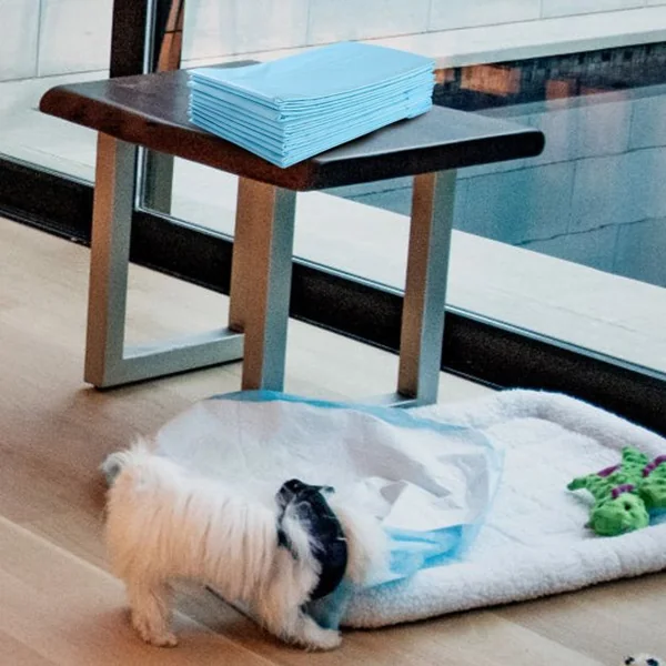 Lot de 300 Tapis d'Entraînement pour Chien Anti-fuite 5 Couches 60 x 43 cm