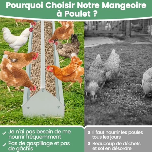 Mangeoire à Poulet en Métal Mangeoire pour Poules en Métal Galvanisé Trous de Drainage Poignée Rotative Mangeoire à Volaille Argent