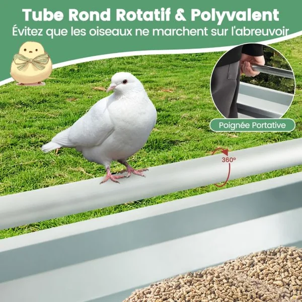 Mangeoire à Poulet en Métal Mangeoire pour Poules en Métal Galvanisé Trous de Drainage Poignée Rotative Mangeoire à Volaille Argent