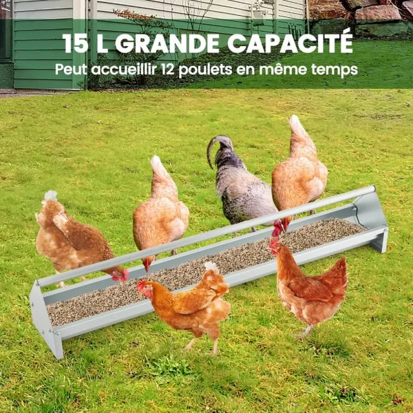 Mangeoire à Poulet en Métal Mangeoire pour Poules en Métal Galvanisé Trous de Drainage Poignée Rotative Mangeoire à Volaille Argent