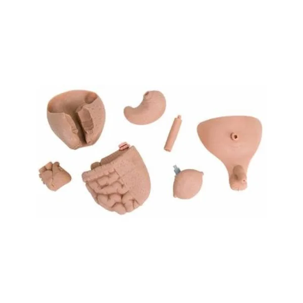 Mannequin de soins Nourrisson P30 3B Scientific
