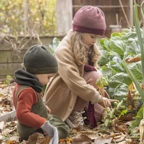 Manteau en laine bouillie bio - DISANA