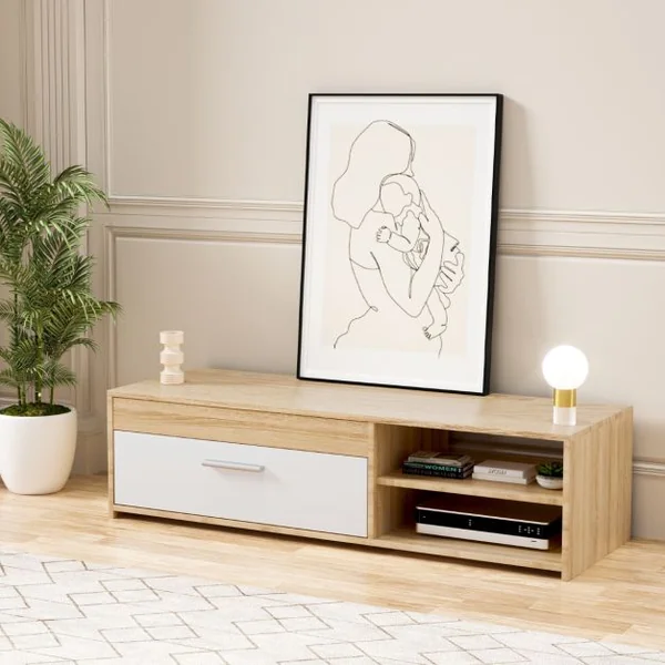 Meuble TV Banc TV Multimédia 120 CM pour TV Jusqu'à 49 " avec 1 Placard Latéral et 2 Étagères à Stockage