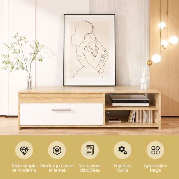 Meuble TV Banc TV Multimédia 120 CM pour TV Jusqu'à 49 " avec 1 Placard Latéral et 2 Étagères à Stockage