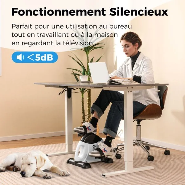 Mini Vélo d'Exercice sous Bureau avec Résistance Réglable et Affichage LCD Pédalier Portable pour Entraînement Des Bras Blanc