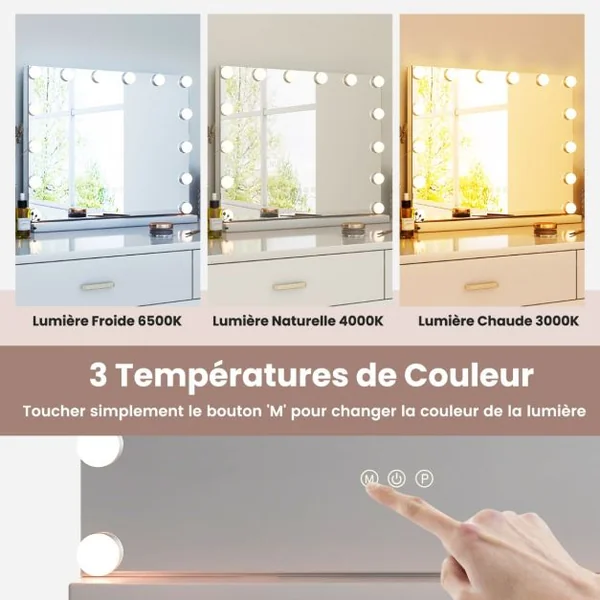 Miroir de Maquillage 14 Ampoules LED Loupe x5 Miroir de Courtoisie Eclairé de Table 3 Modes d'Eclairage Réglable