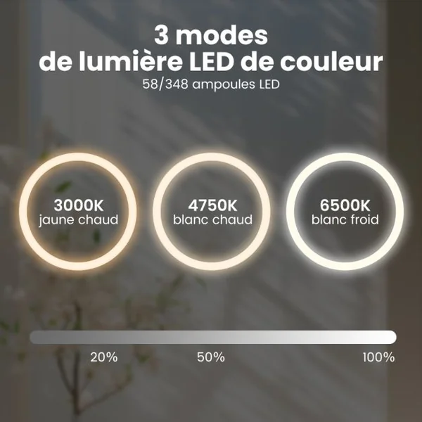 Miroir Mural Rond à LED et Fonction Anti-buée Miroir de Courtoisie Étanche avec 3 Couleurs 58 Lumières Écran Tactile Miroir de Maquillage Argent
