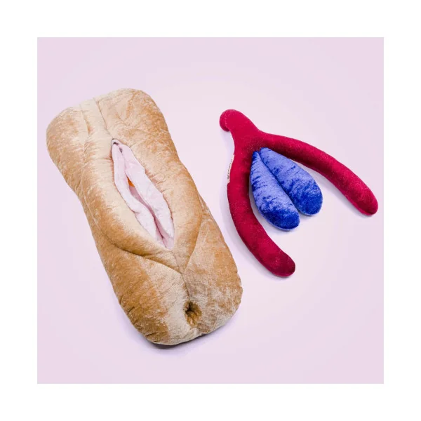 Modèle anatomique de Vagin + Vulve + Clitoris + Anus en peluche XXL