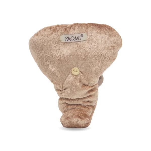 Modèle anatomique intersexué de pénis avec Hypospadias non circoncis en peluche