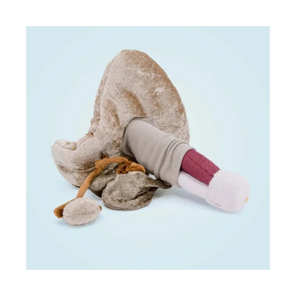 Modèle anatomique pénis grand + corps caverneux et spongieux en peluche