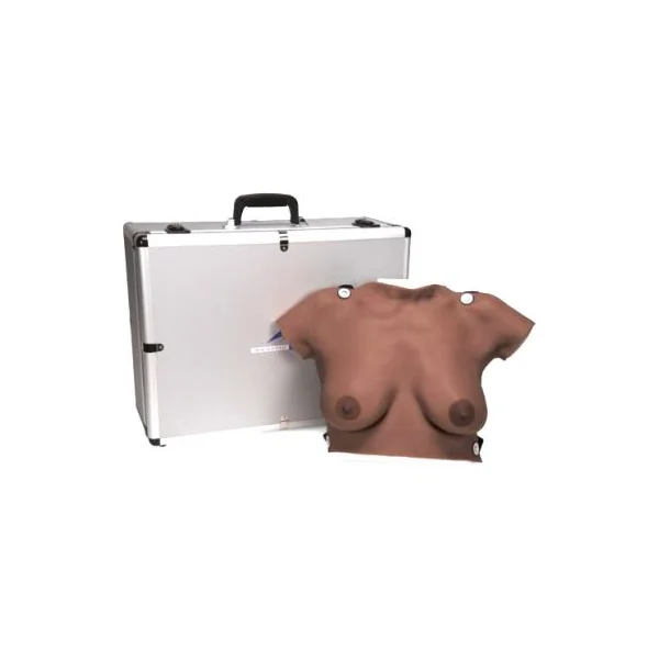Modèle de palpation mammaire + valise de transport + planche murale L50 3B Scientific