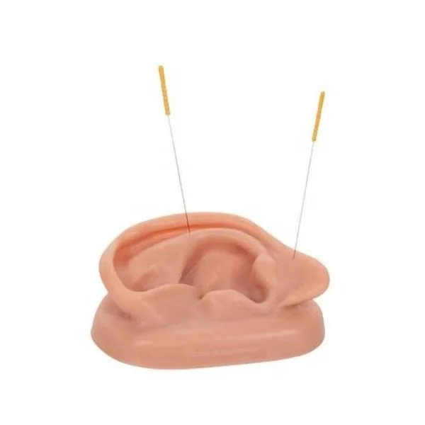 Modèle oreilles pour acupuncture N15 3B Scientific